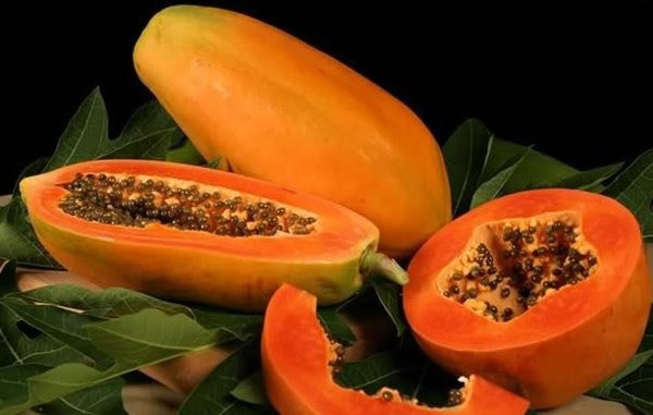 Học Dương Quý Phi bí kíp có làn da trắng nõn, vòng 1 căng tròn - Hình 6 Hoc Duong Quy Phi bi kip co lan da trang non, vong 1 cang tron-Hinh-6