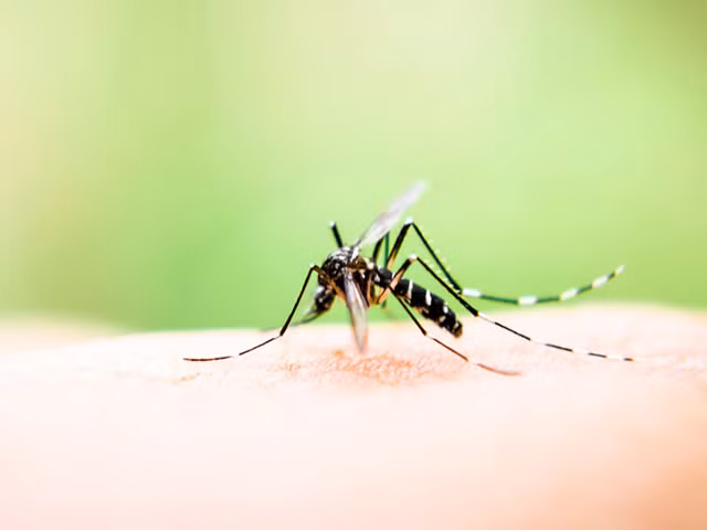 Cach xu tri khi be sot cao khong ha-Hinh-4