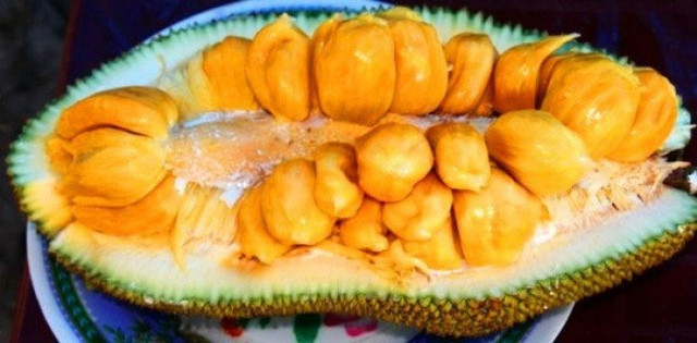 Phát thèm với chùm mít tố nữ thơm lừng ở Long Khánh - Hình 4 Phat them voi chum mit to nu thom lung o Long Khanh-Hinh-4