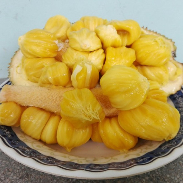 Phát thèm với chùm mít tố nữ thơm lừng ở Long Khánh - Hình 5 Phat them voi chum mit to nu thom lung o Long Khanh-Hinh-5