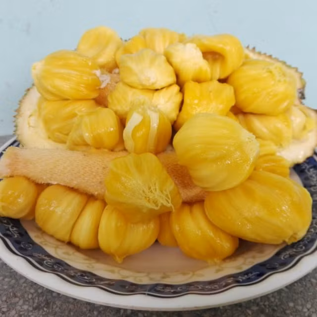 Phát thèm với chùm mít tố nữ thơm lừng ở Long Khánh - Hình 5 Phat them voi chum mit to nu thom lung o Long Khanh-Hinh-5