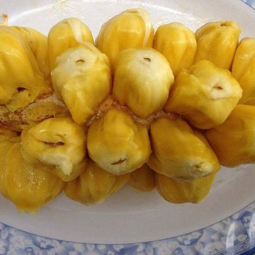 Phát thèm với chùm mít tố nữ thơm lừng ở Long Khánh - Hình 9 Phat them voi chum mit to nu thom lung o Long Khanh-Hinh-9