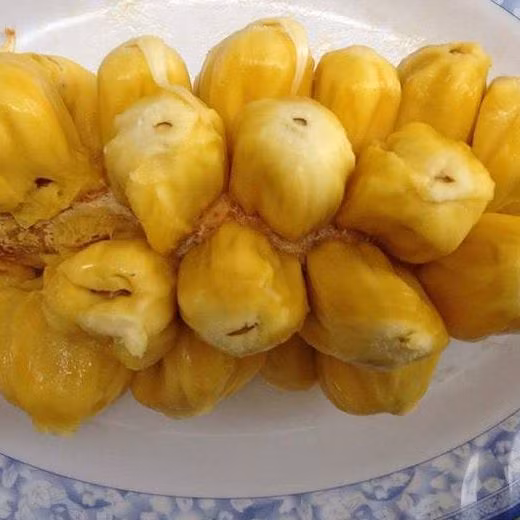 Phát thèm với chùm mít tố nữ thơm lừng ở Long Khánh - Hình 9 Phat them voi chum mit to nu thom lung o Long Khanh-Hinh-9