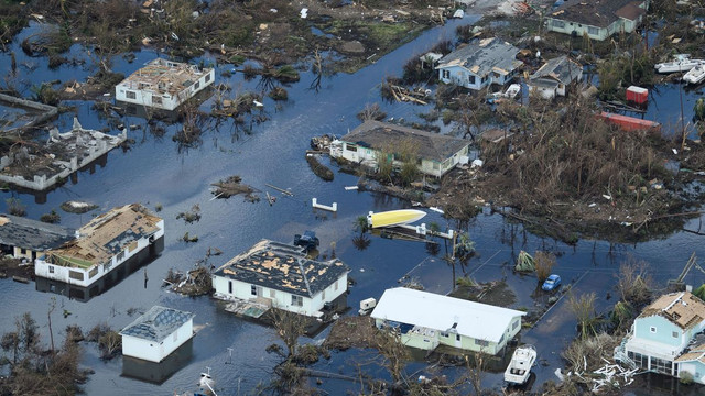 Tim hieu cach dat ten cac con bao nhu nao-Hinh-6