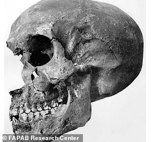 Bí ẩn xác ướp nghi là cha của pharaoh nổi tiếng Ai Cập - Hình 6 Bi an xac uop nghi la cha cua pharaoh noi tieng Ai Cap-Hinh-6