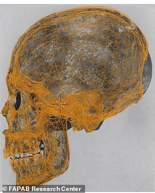 Bí ẩn xác ướp nghi là cha của pharaoh nổi tiếng Ai Cập - Hình 5 Bi an xac uop nghi la cha cua pharaoh noi tieng Ai Cap-Hinh-5