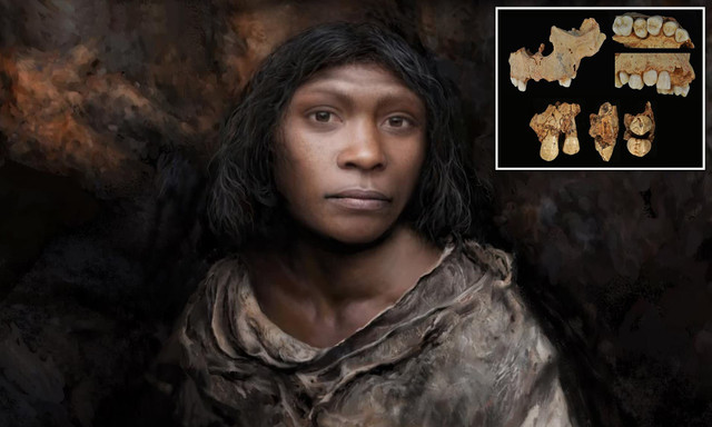 'Trả lại' đúng giới tính cho bộ hài cốt 800.000 tuổi - Hình 5 'Tra lai' dung gioi tinh cho bo hai cot 800.000 tuoi-Hinh-5