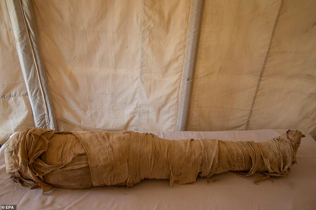 Khai quật 52 quan tài lạ trong đền dành cho Nữ hoàng Ai Cập - Hình 2 Khai quat 52 quan tai la trong den danh cho Nu hoang Ai Cap-Hinh-2