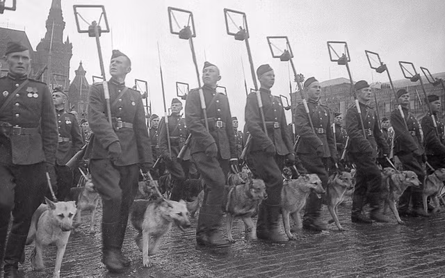 Ke hoach su dung cho danh bom cua My, Lien Xo trong The chien 2-Hinh-3