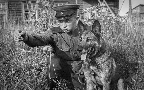 Kế hoạch sử dụng chó đánh bom của Mỹ, Liên Xô trong Thế chiến 2 - Hình 2 Ke hoach su dung cho danh bom cua My, Lien Xo trong The chien 2-Hinh-2