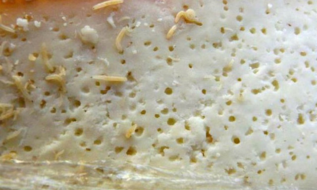 Nhung mon an trong ghe ron hon trung vit lon-Hinh-8