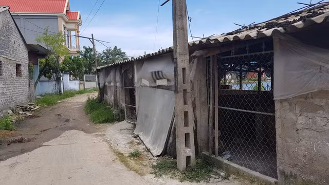 Hai Duong: Ho Bong Lai bi 