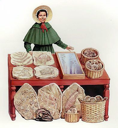 Điều ít biết về nhà cổ sinh vật học nữ đầu tiên trong lịch sử - Hình 4 Dieu it biet ve nha co sinh vat hoc nu dau tien trong lich su-Hinh-4