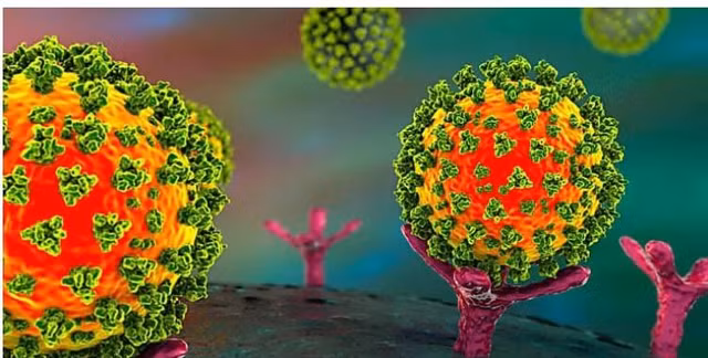 Gen la o nguoi Nhat chong choi duoc COVID-19 nhu nao?-Hinh-9