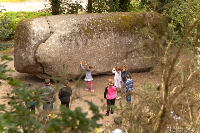 Thu vi hon da nang 137 tan nhung ai cung xe dich de dang-Hinh-9