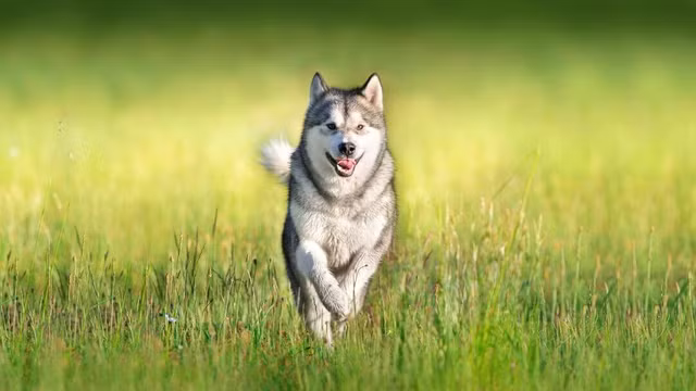 Nhung su viec ky bi van chua duoc lam sang to suot 200 nam-Hinh-3