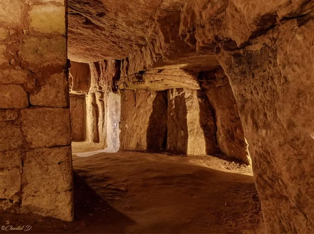 Kham pha 'ham tan the' ben duoi lau dai thoi Trung co o Phap-Hinh-5