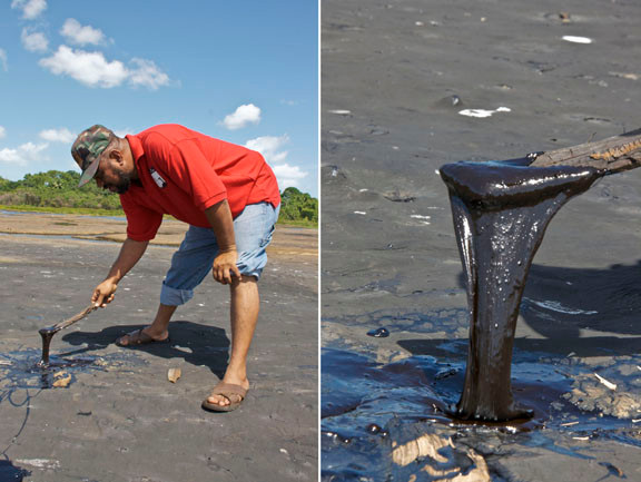 Vi sao ho Pitch chua hang trieu tan “vang den”?-Hinh-2