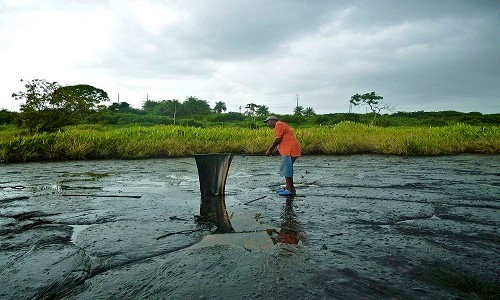 Vi sao ho Pitch chua hang trieu tan “vang den”?-Hinh-5