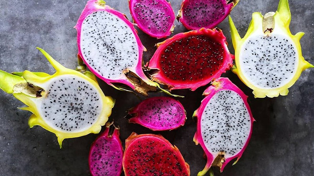 Thanh long đỏ và trắng cực khác nhau - Hình 5 Thanh long do va trang cuc khac nhau-Hinh-5