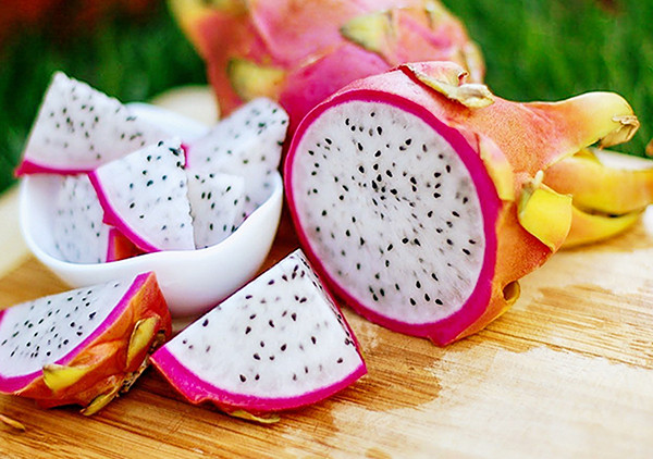 Thanh long đỏ và trắng cực khác nhau - Hình 9 Thanh long do va trang cuc khac nhau-Hinh-9