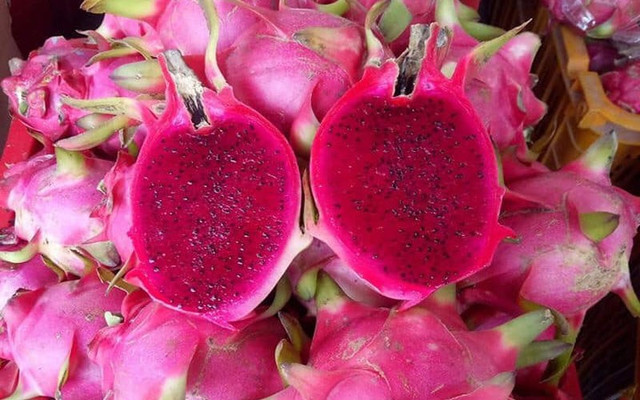 Thanh long đỏ và trắng cực khác nhau - Hình 8 Thanh long do va trang cuc khac nhau-Hinh-8