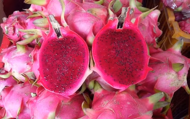 Thanh long do va trang cuc khac nhau-Hinh-8