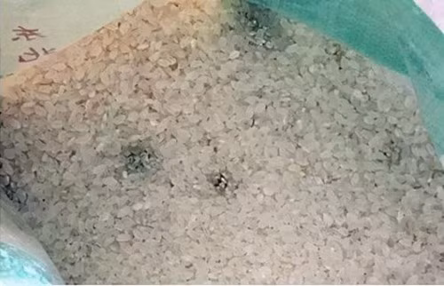 Loai gao an nhieu co nguy co ruoc ung thu-Hinh-2