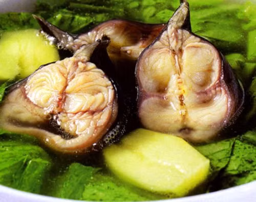 Loai ca 'bau vat' ma thuong bi che hoi ban-Hinh-8