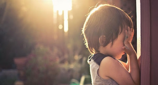 Mầm bông cải xanh giúp cải thiện rối loạn hành vi của trẻ tự kỷ - Hình 3 Mam bong cai xanh giup cai thien roi loan hanh vi cua tre tu ky-Hinh-3