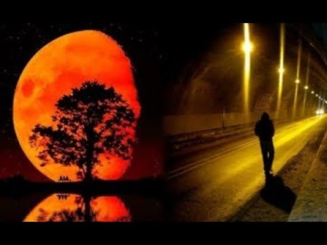 Những điều tuyệt đối kiêng kỵ trong tháng 7 âm lịch - Hình 6 Nhung dieu tuyet doi kieng ky trong thang 7 am lich-Hinh-6