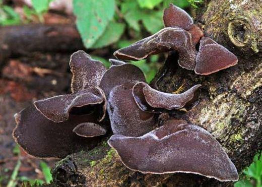 4 thực phẩm là “kẻ thù” huyết áp cao, ngăn ngừa các bệnh tim mạch - Hình 2 4 thuc pham la “ke thu” huyet ap cao, ngan ngua cac benh tim mach-Hinh-2