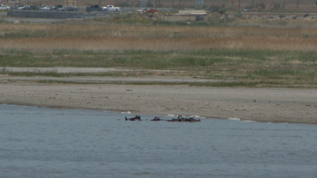 Bí ẩn con tàu vừa 'lộ thiên' sau 120 năm - Hình 2 Bi an con tau vua 'lo thien' sau 120 nam-Hinh-2