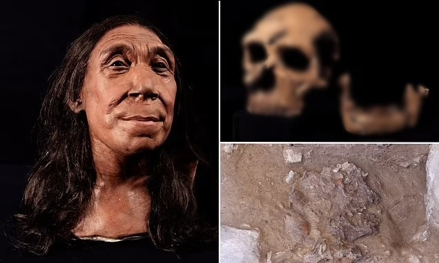 Gương mặt của một phụ nữ Neanderthal sống cách đây 75.000 năm - Hình 3 Guong mat cua mot phu nu Neanderthal song cach day 75.000 nam-Hinh-3