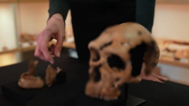 Gương mặt của một phụ nữ Neanderthal sống cách đây 75.000 năm - Hình 9 Guong mat cua mot phu nu Neanderthal song cach day 75.000 nam-Hinh-9