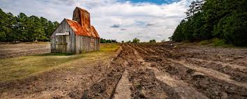 Ở nơi này, du khách có thể cầm theo dụng cụ đào tìm kim cương rồi mang về - Hình 6 O noi nay, du khach co the cam theo dung cu dao tim kim cuong roi mang ve-Hinh-6