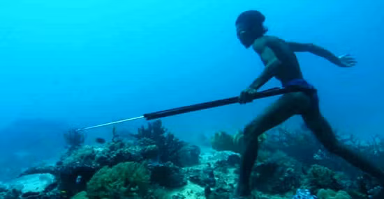 Bo toc 'nguoi ca' noi tieng the gioi-Hinh-5