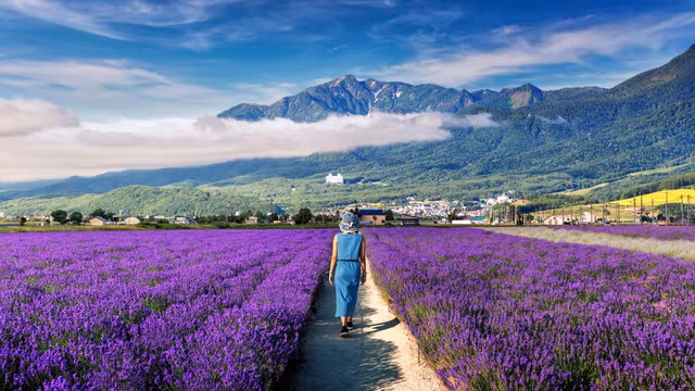 Hida-Takayama - thi tran tuyet dep nhu chon than tien-Hinh-9