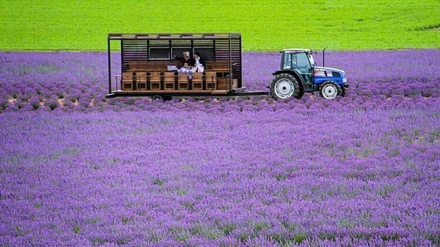 Hida-Takayama - thị trấn tuyệt đẹp như chốn thần tiên - Hình 8 Hida-Takayama - thi tran tuyet dep nhu chon than tien-Hinh-8
