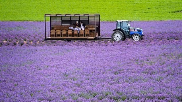 Hida-Takayama - thi tran tuyet dep nhu chon than tien-Hinh-8