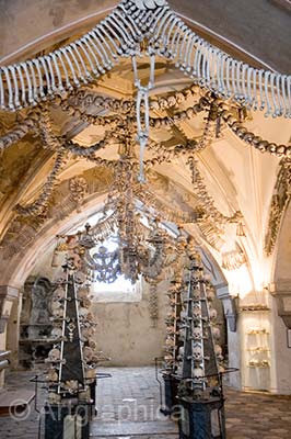 Rừng Hoia Baciu, nhà thờ Sedlec Ossuary… là những điểm đến rùng rợn - Hình 8 Rung Hoia Baciu, nha tho Sedlec Ossuary… la nhung diem den rung ron-Hinh-8