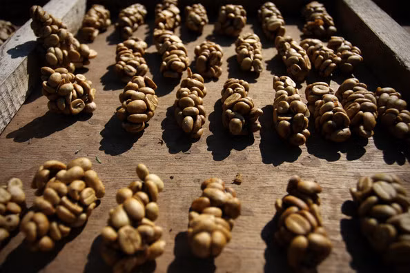 Ban co du can dam thu nhung mon an tu chat thai nay?-Hinh-6