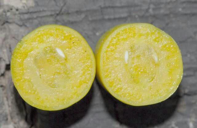 Khám phá cách ăn loại quả kỳ lạ dài hơn 1m ngọt lịm như táo - Hình 4 Kham pha cach an loai qua ky la dai hon 1m ngot lim nhu tao-Hinh-4