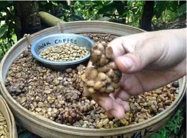 Ba món ăn tàn nhẫn được xem là đặc sản đắt đỏ, nhiều người mê - Hình 8 Ba mon an tan nhan duoc xem la dac san dat do, nhieu nguoi me-Hinh-8