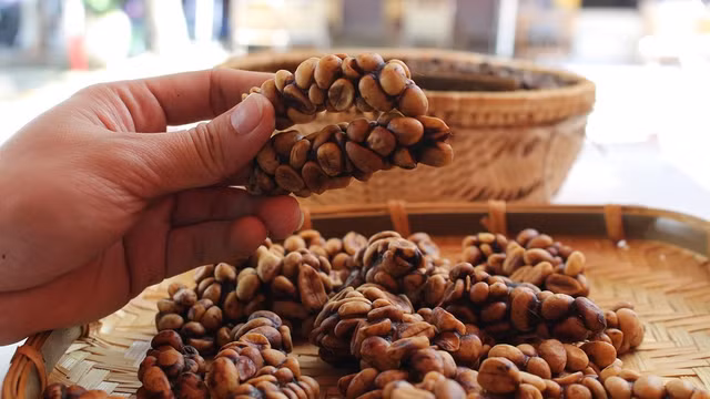 Ba món ăn tàn nhẫn được xem là đặc sản đắt đỏ, nhiều người mê - Hình 10 Ba mon an tan nhan duoc xem la dac san dat do, nhieu nguoi me-Hinh-10