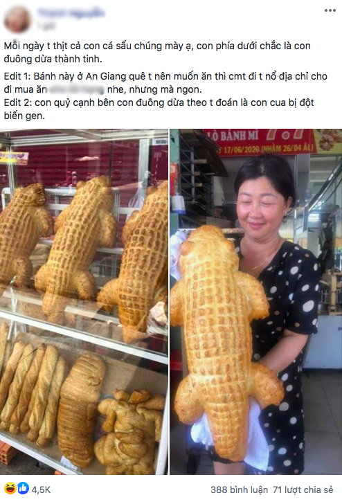 Bánh mì cá sấu khổng lồ có gì đặc biệt mà gây sốt mạng xã hội? Banh mi ca sau khong lo co gi dac biet ma gay sot mang xa hoi?