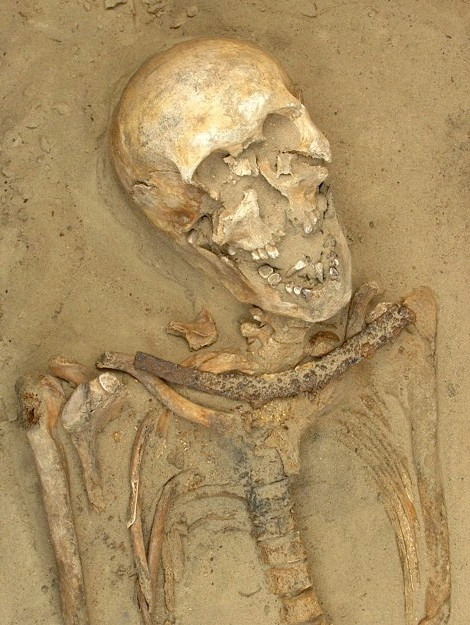 Can canh nhung bo hai cot dac biet tai 'khu chon cat ac quy'-Hinh-8