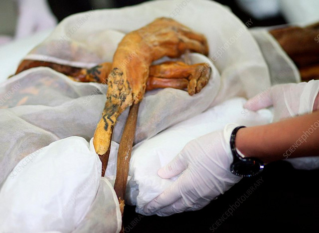 Di dời xác ướp công chúa Nga được cho đánh thức 'lời nguyền' - Hình 8 Di doi xac uop cong chua Nga duoc cho danh thuc 'loi nguyen'-Hinh-8