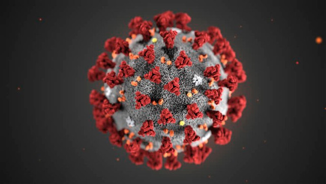Nóng: Nhật Bản cô lập thành công virus corona mới Nong: Nhat Ban co lap thanh cong virus corona moi