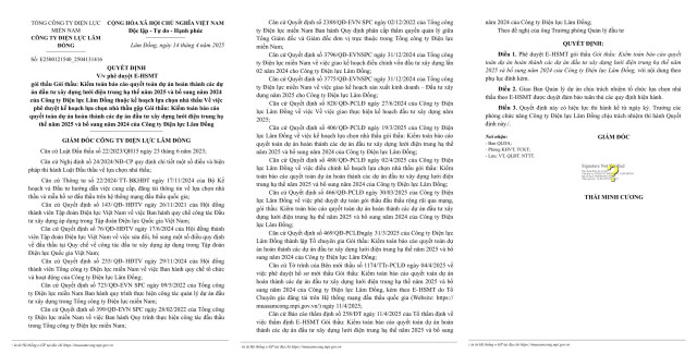 Dien luc Lam Dong moi thau kiem toan cac du an luoi dien 2025-Hinh-2